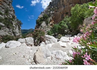 Hiking trail in Gola di Gorropu gorge in Sardinia - Italy 