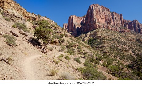 Hiking trail in the Grand Canyon, ascending toward red sandstone cliffs on North Kaibab trail. - Shutterstock ID 2062886171