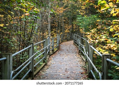 Hiking Trail In Grand Portage State Park In Minnesota