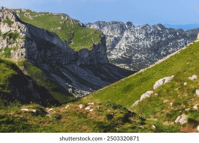 Hiking trail, grassy hill in mountains under blue sky, surrounded by lush greenery in Durmitor National Park, Montenegro. Alpine summer landscape with hillside trekking route on sunny summer morning. - Powered by Shutterstock