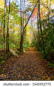 Hiking Trail In Great Smoky Mountains National Park