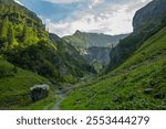 Hiking trail in high mountains, scenery of Alpine valley in summer	