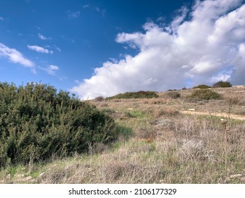 Hiking Trail In The Hill, No People, Natural Colors