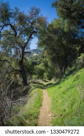 Hiking Trail Into The Trees And Brush Of Southern California Near Santa Clarita.