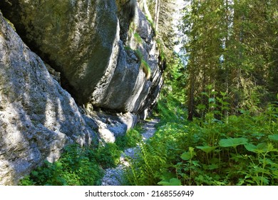 Hiking Trail In Julian Alps And Triglav National Park Leading Bellow A Vertical Rock Wall And A Conifer Forest