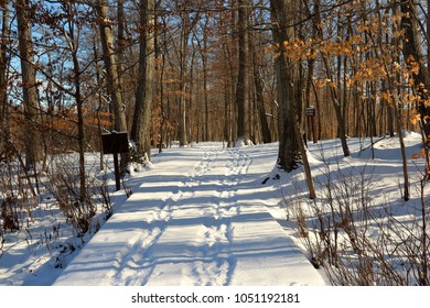 Hiking Trail At Kensington Metropark In Michigan USA.