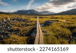 Hiking Trail Kungsleden Swedish Lapland Wooden Path