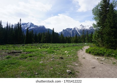 Hiking Trail In Laurance S. Rockefeller Preserve - Grand Teton National Park - Wyoming, USA