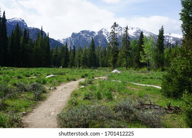 Hiking Trail In Laurance S. Rockefeller Preserve - Grand Teton National Park - Wyoming, USA