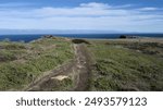 Hiking trail leads to the Pacific Ocean on Santa Cruz Island.