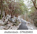 A hiking trail with a light dusting of snow at Brasstown Bald.