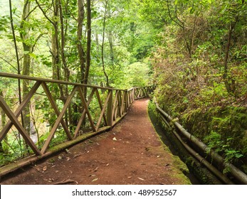 Hiking Trail At Los Tilos Biosphere Reserve, La Palma, Canary Islands, Spain