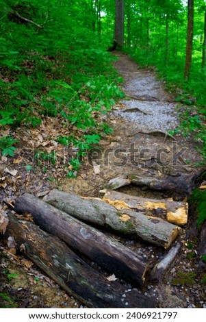 Hiking trail maintenance with logs and gravel