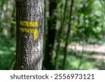 Hiking trail marking in France. Marking the tourist route on the tree trunk in France. Hiking trail marked with yellow. Itineraries in France, repere excursion marking.