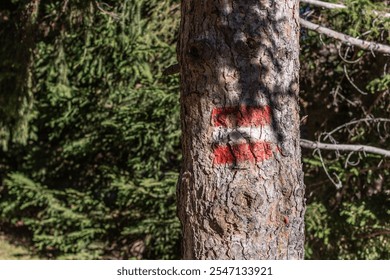 Hiking trail marking on a tree in the forest - Powered by Shutterstock