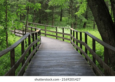 Hiking Trail In Mascouche. Wood Walkway