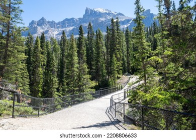 Hiking Trail To Mistaya Canyon In Jasper National Park In Summer