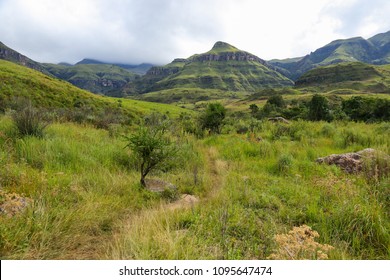 Hiking Trail In Monks Cowl, Drakensberg Mountains, South Africa