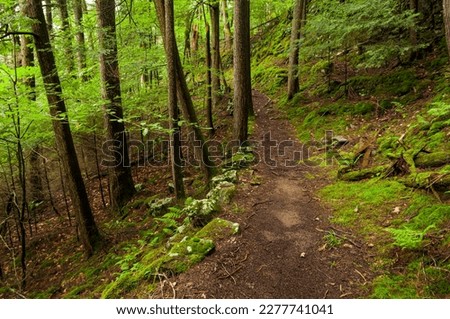 Hiking trail to Montcalm Point in the :Lake George Wild Forest Area in the Adirondack Forest Preserve in New York State Adirondack Forest Preserve, New York