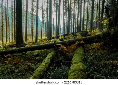 Hiking Trail To Morskie Oko Lake Near Zakopane In Poland During October In Autumn Season Is Amazing With Leaves And Lakes And Forests Is Amazing 