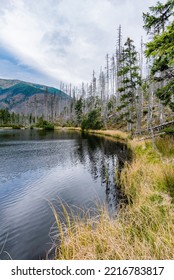 Hiking Trail To Morskie Oko Lake Near Zakopane In Poland During October In Autumn Season Is Amazing With Leaves And Lakes And Forests Is Amazing 