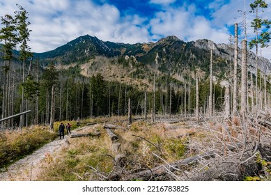 Hiking Trail To Morskie Oko Lake Near Zakopane In Poland During October In Autumn Season Is Amazing With Leaves And Lakes And Forests Is Amazing 