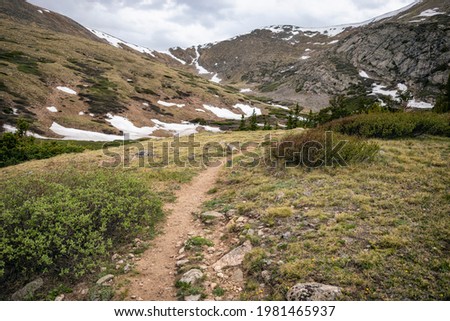 Hiking Trail in the Mount Evans Wilderness, Colorado