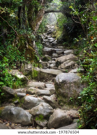 Hiking trail at Mount Kinabalu in Sabah, East Malaysia.