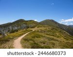 Hiking trail in the mountains on a sunny summer