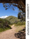 Hiking trail in the mountains on a sunny summer