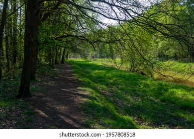 Hiking Trail In Nature Reserve 'Olens Broek' On A Sunny Day In Spring (Antwerp, Belgium)