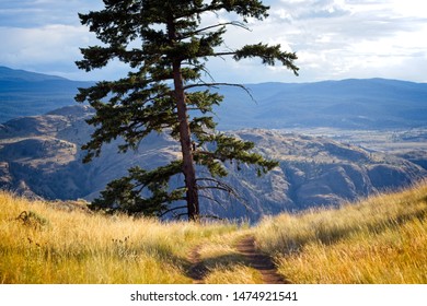 A Hiking Trail Near Kamloops BC.