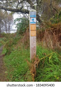 Hiking Trail Near Lewis Castle In Stornoway, Scotland.