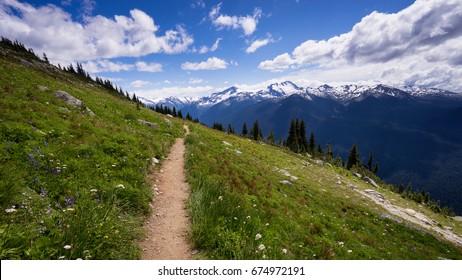 Hiking Trail On Blackcomb Mountain, Whistler, British Columbia, Canada