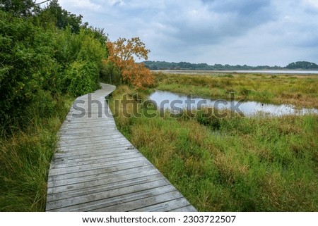 Hiking trail on Ile-au-Moines, Gulf of Morbihan, Brittany, France