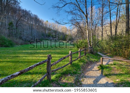 Hiking trail in Pisgah National Forest North Carolina.