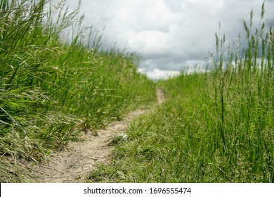 Hiking Trail In Prairie Grass 