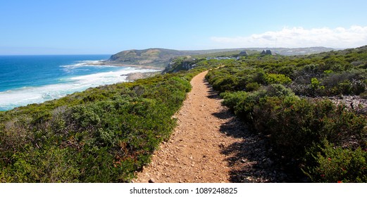 Hiking Trail In The Robberg Nature Reserve Near Plettenberg Bay On The Garden Route, Western Cape, South Africa