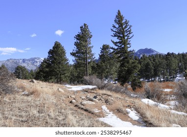 Hiking trail in Rocky Mountain National Park, Colorado. Snow partially covering trail on a cold March day. Evergreen and pine forest seen in the background. - Powered by Shutterstock