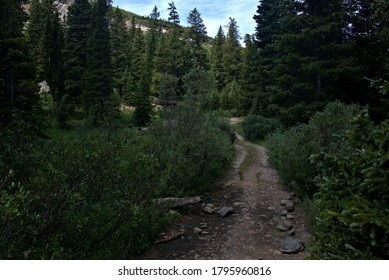 Hiking Trail In The Rocky Mountains Of Colorado With Cloudy Skies Overhead