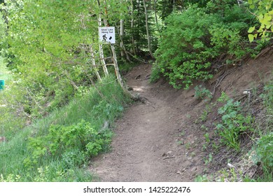 A Hiking Trail Sign At The Deer Valley Ski Resort At Park City, Utah During The Lush Green Foliage Season Of Summer