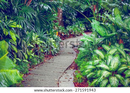 Hiking Trail In The Singapore Zoo. Beautiful nature