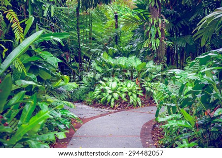 Hiking Trail In The Singapore Zoo. Beautiful nature