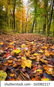 Hiking Trail In The Smoky Mountains On A Crisp Fall Morning