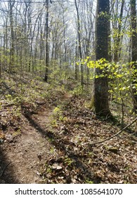 Hiking Trail In The Spring In Southeast Ohio.