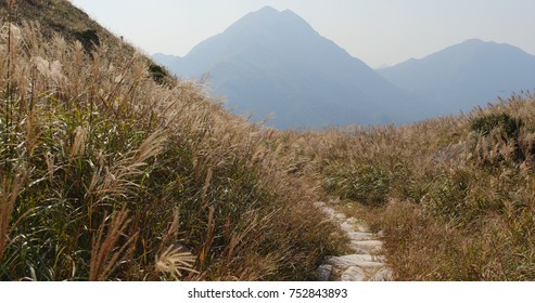 Hiking Trail In Sunset Peak At Autumn