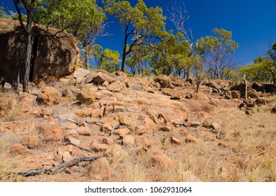 Hiking Trail Through The Dry Landscape Of The Undara Volcanic National Park In Queensland, Australia.