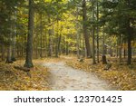 hiking trail through forest during colorful autumn season at potawatomi state park in door county of wisconsin