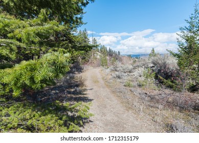 Hiking Trail Through Forest And Okanagan Valley In Early Spring