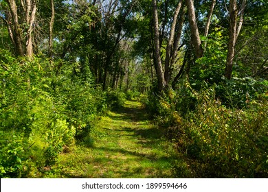 Hiking Trail Through The Woods.  Bellevue State Park, Iowa, USA